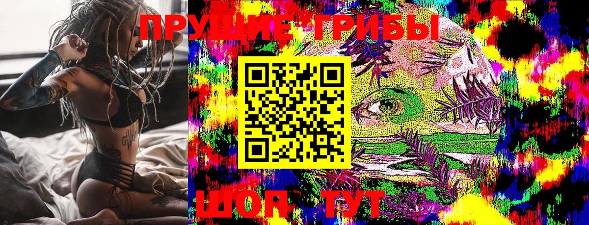 Псилоцибиновые грибы Psilocybe  Вход с VPN  Псилоцибиновые грибы мухоморы  Донской 