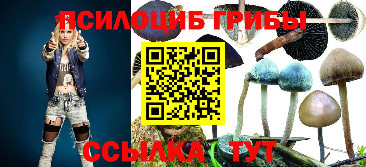 Галлюциногенные грибы MAGIC MUSHROOMS Донской